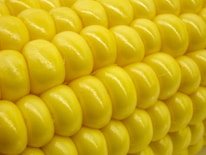 a close up of corn on the cob