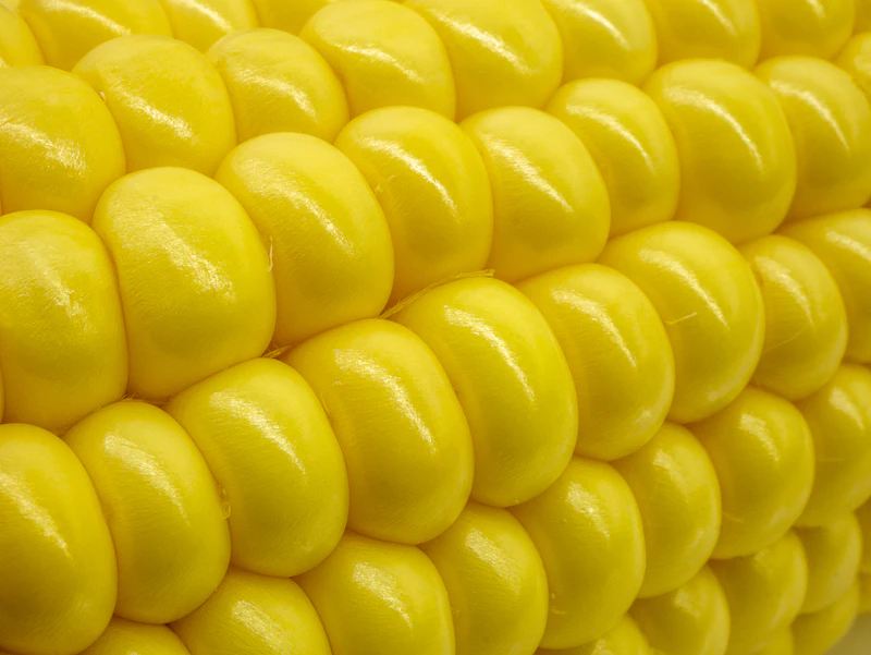 Sweet corn — Al Ghareeb