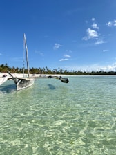 A traditional boat sailing near Bali’s lush coastline under a bright sky.