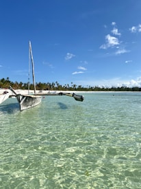 A traditional wooden boat floats on crystal-clear water under a bright blue sky with scattered white clouds. In the background, a line of lush, green palm trees extends along a sandy shore.
