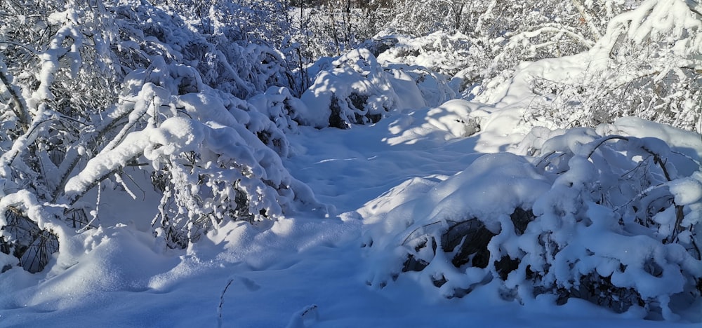 a man riding skis down a snow covered slope