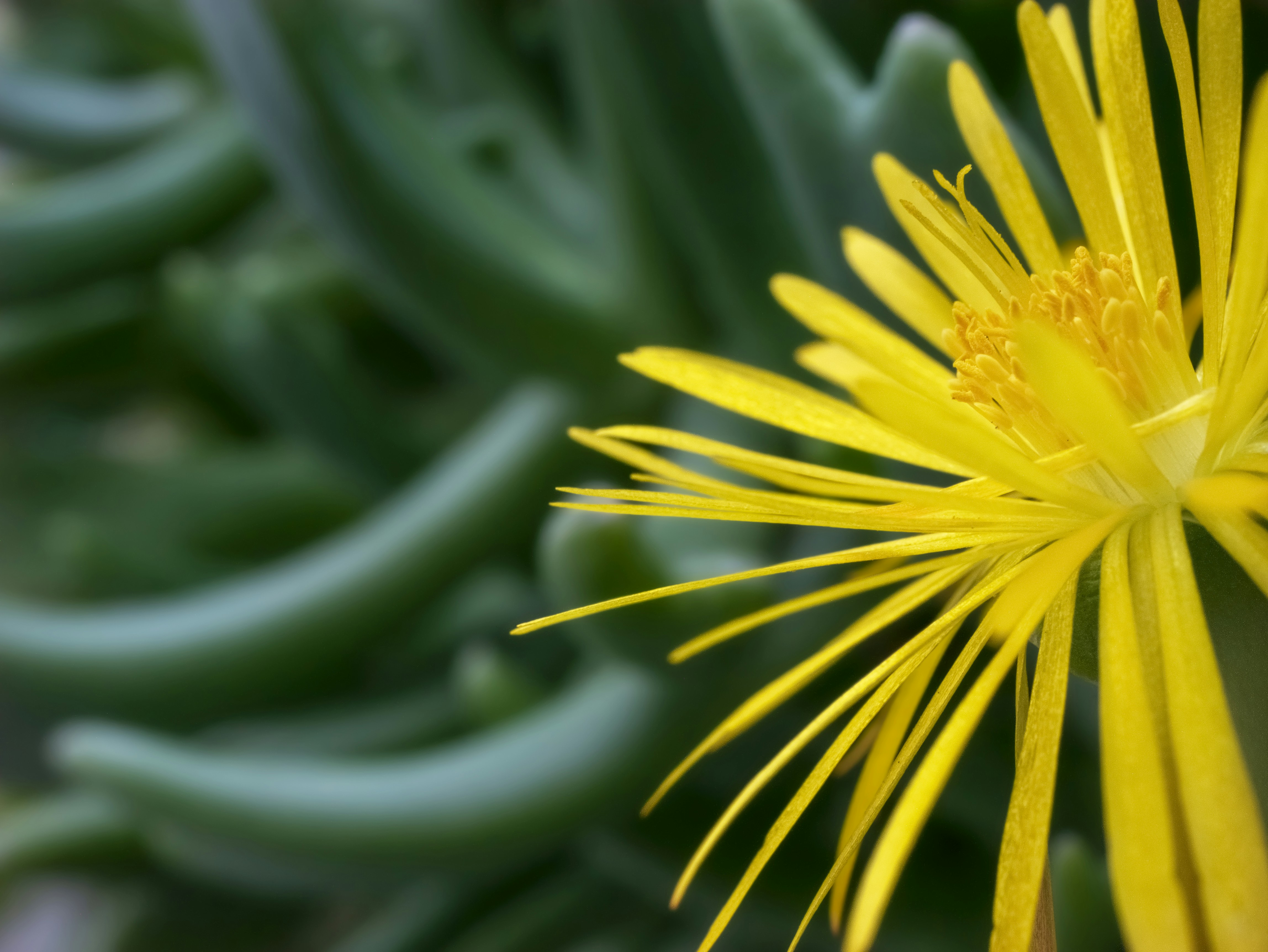 Photo by paoalchapar