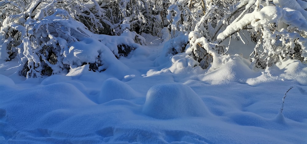 a person riding skis on a snowy surface