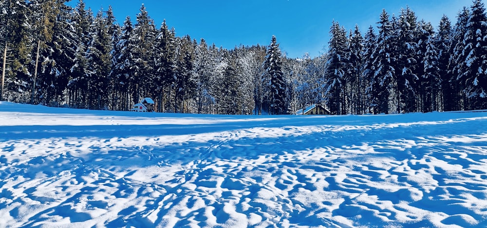 a snow covered field with trees in the background