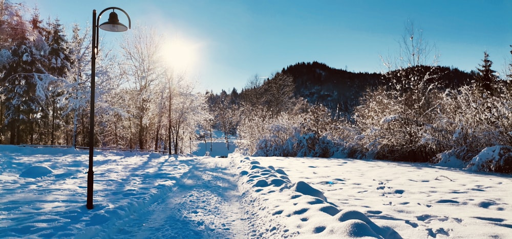 a path in the snow with a lamp post in the foreground