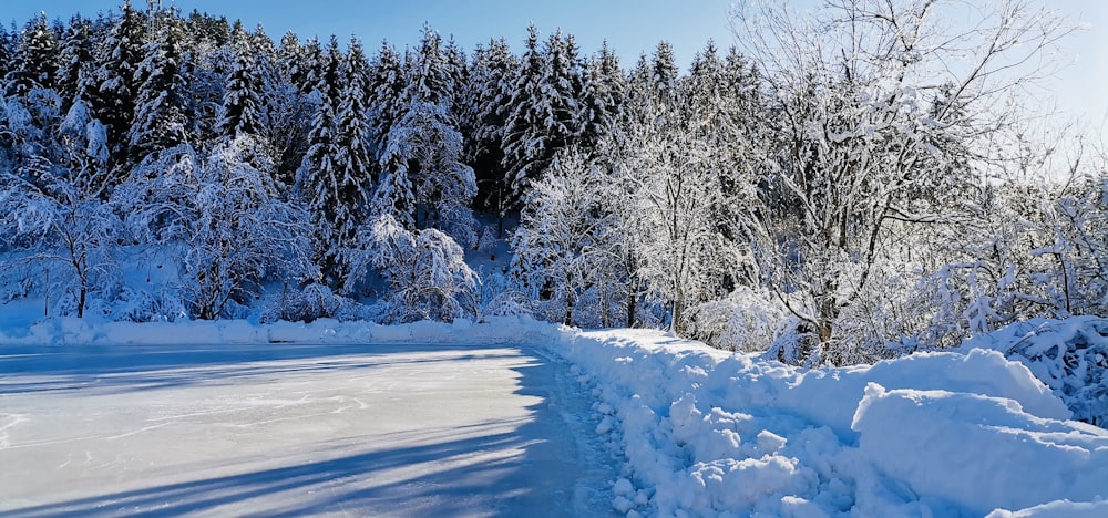 a snow covered road with trees in the background