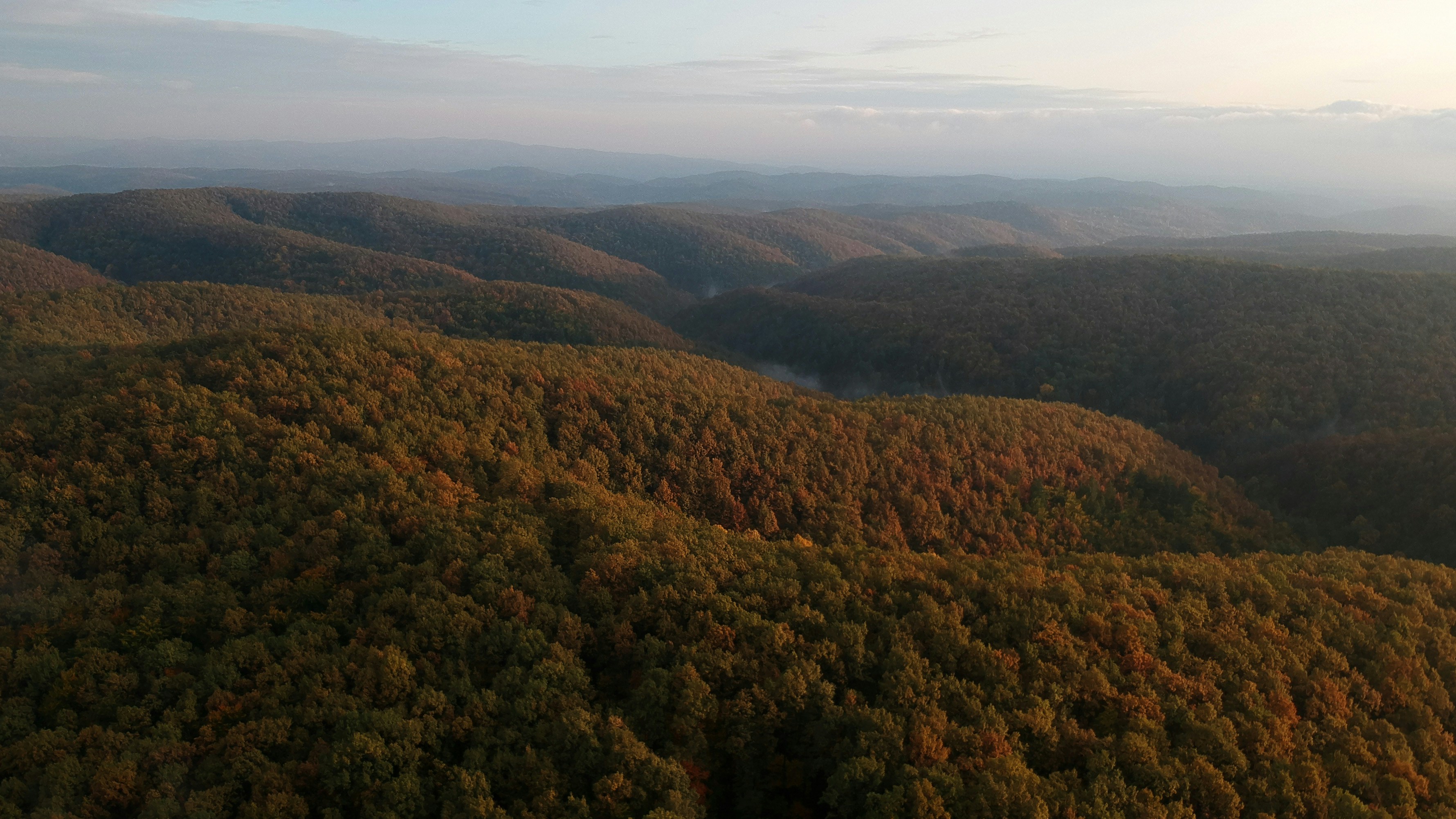 Photo by vjeblackbirdlion