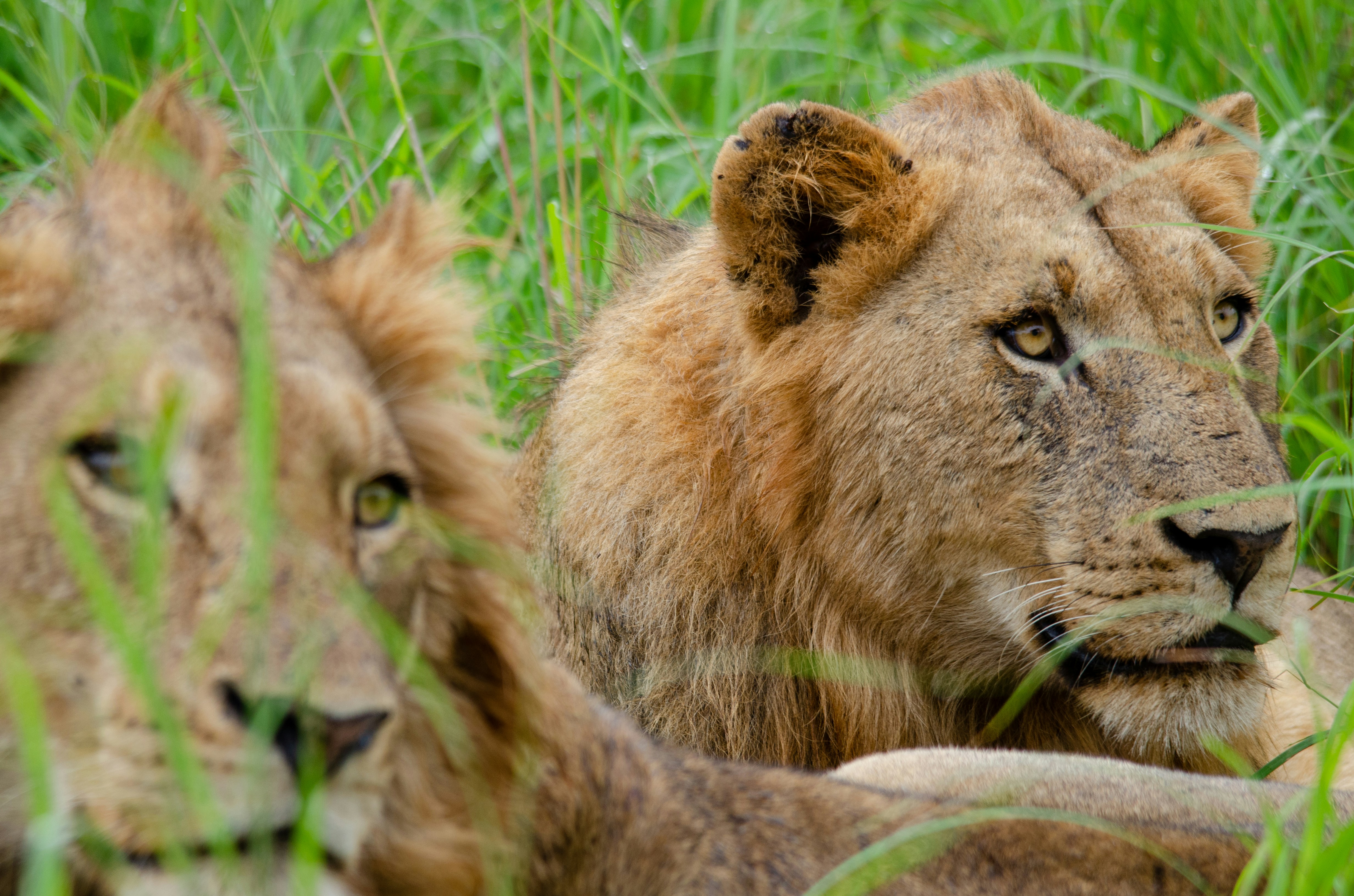 Photo by stewardesign