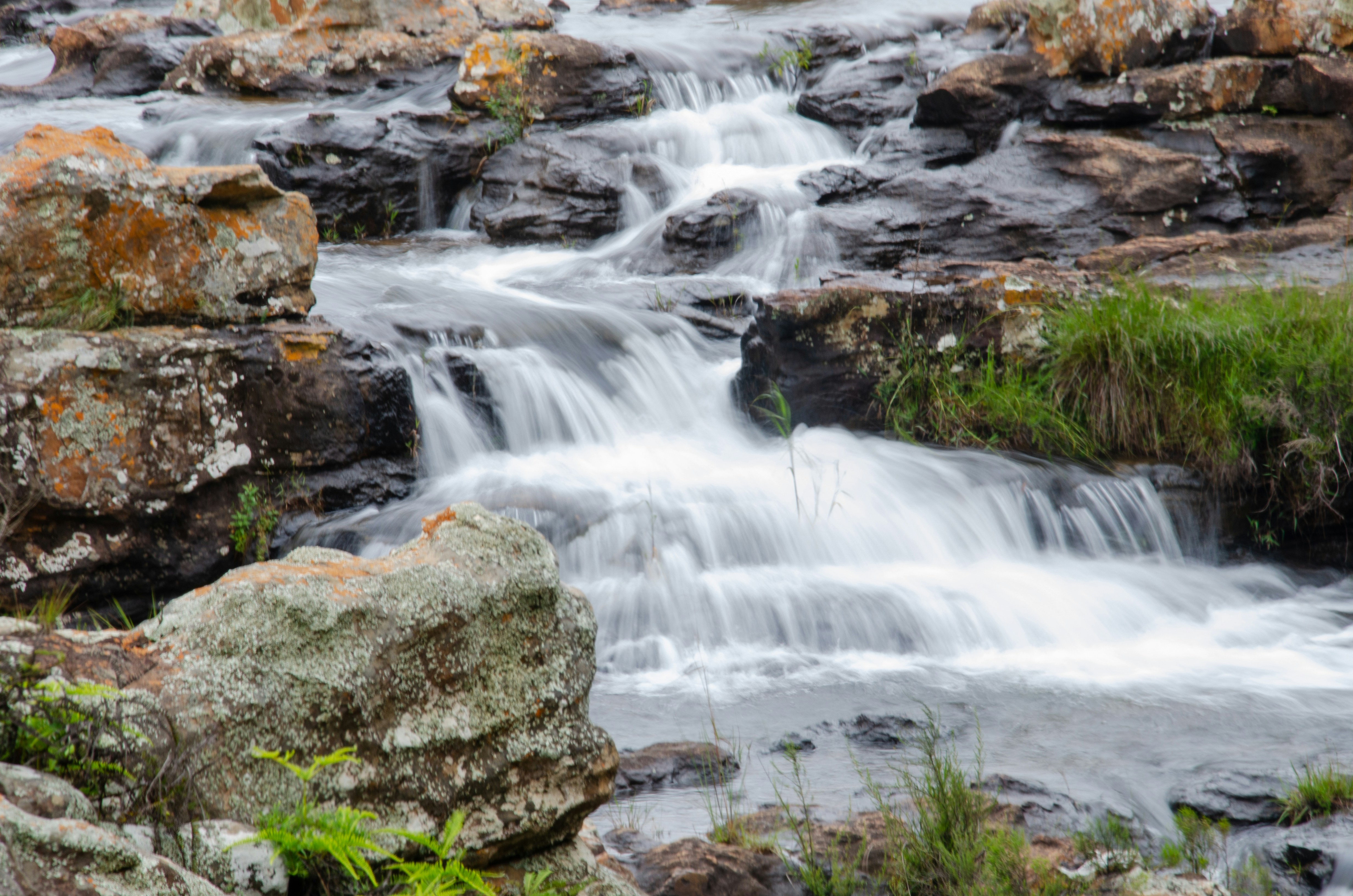 Photo by stewardesign