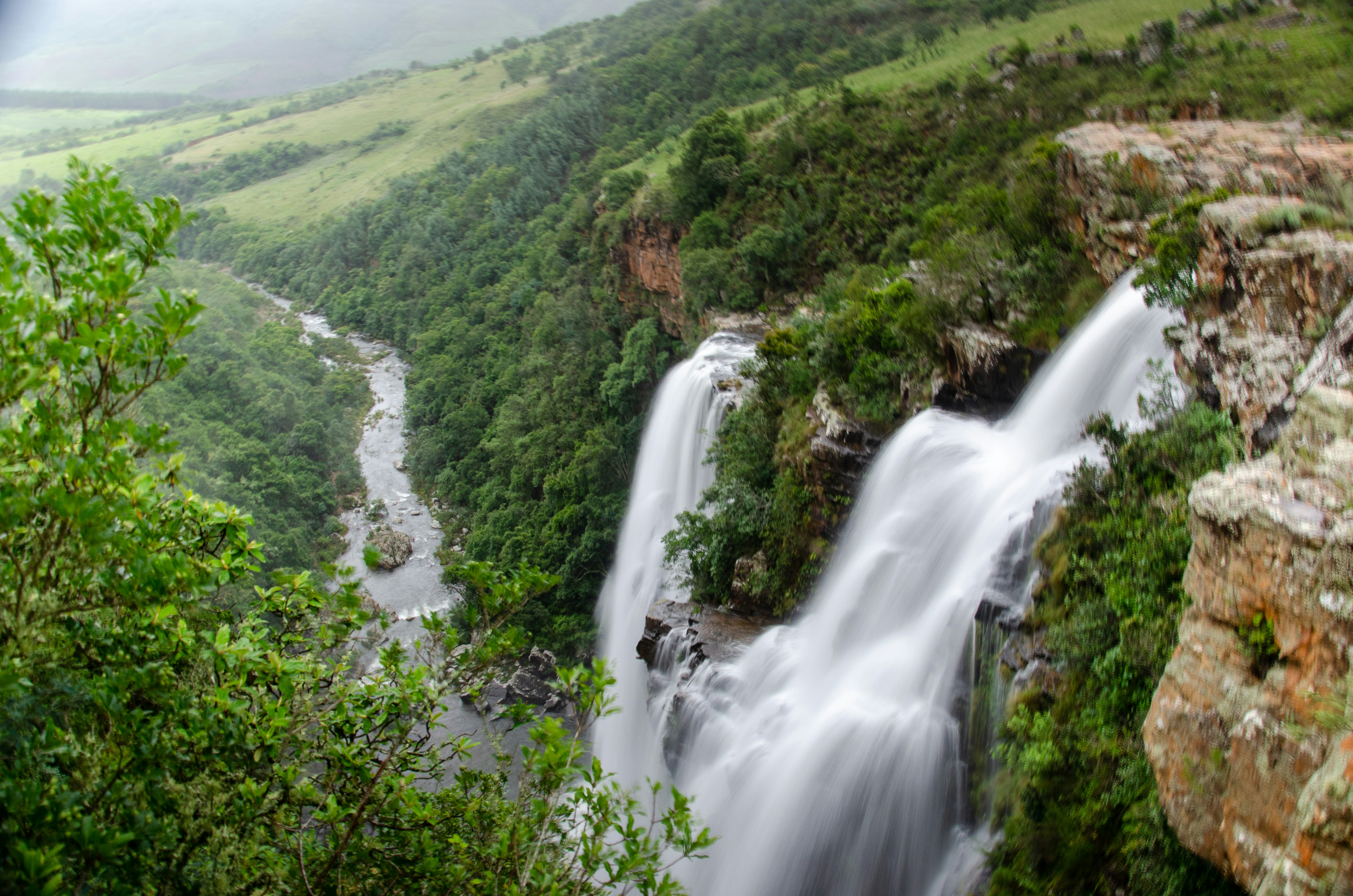 Photo by stewardesign