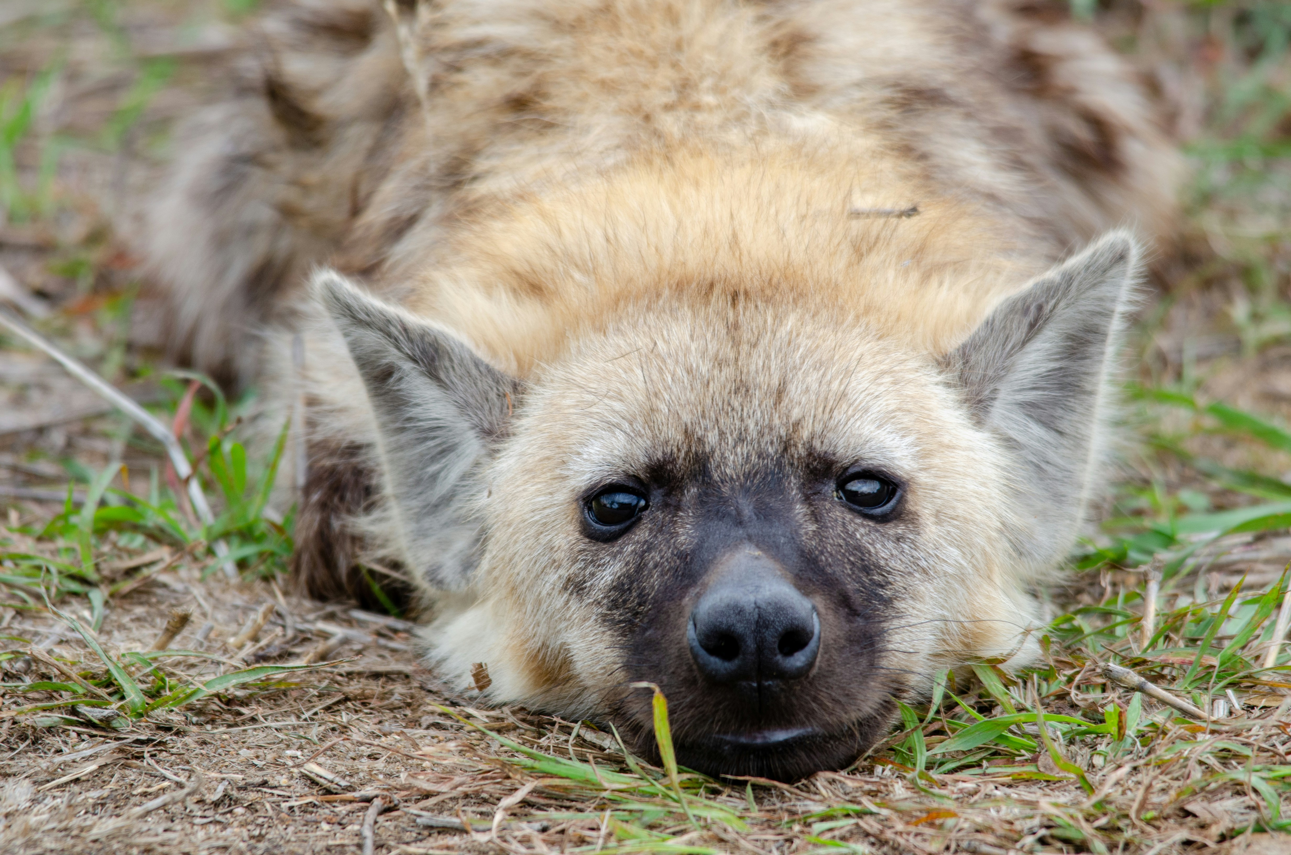 Photo by stewardesign