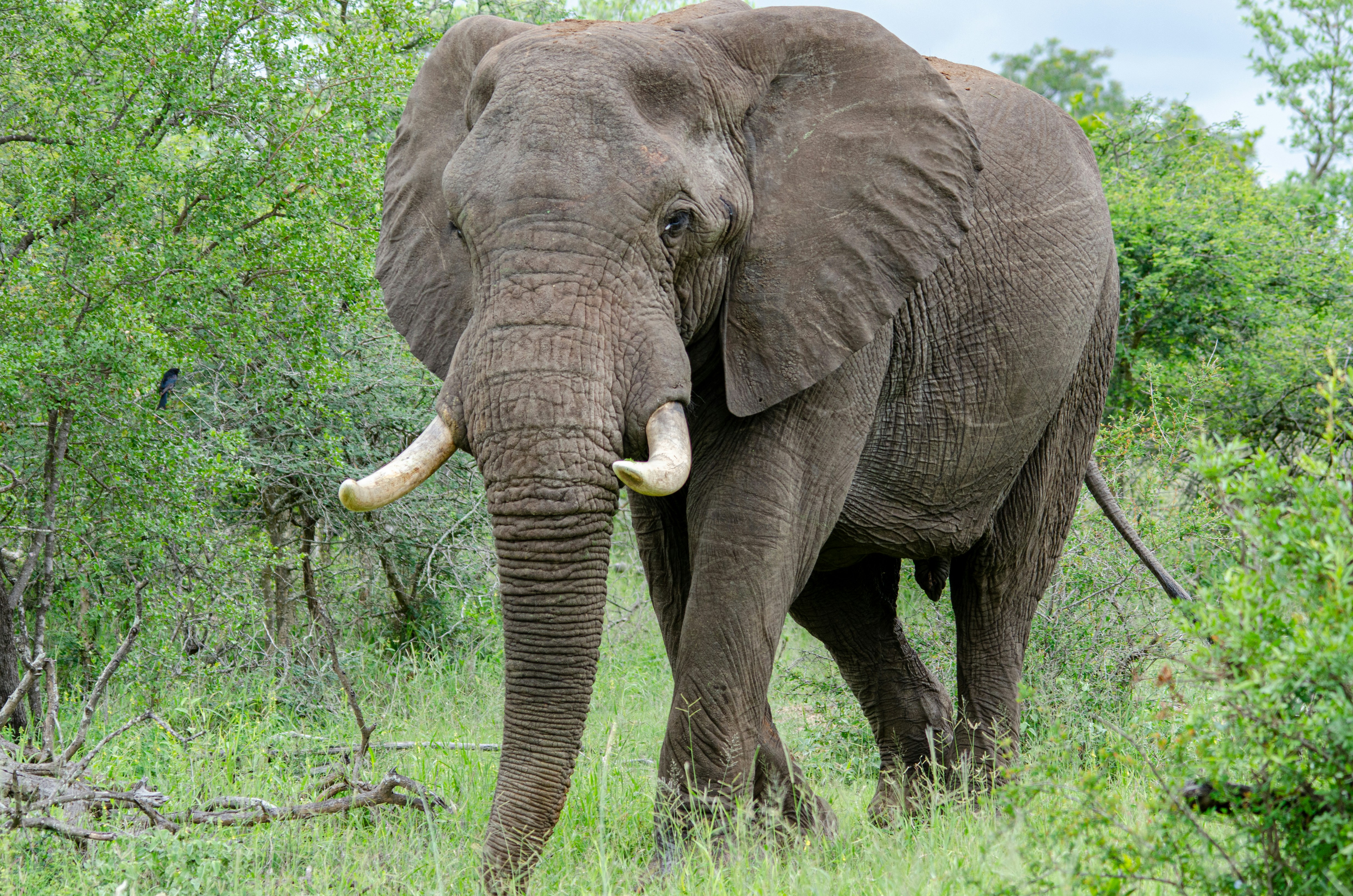 Photo by stewardesign