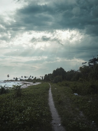 A lush green coastal path bordered by dense vegetation runs parallel to the ocean under a dramatic sky filled with clouds. Sunlight filters through the clouds, casting rays onto the scene. Palm trees are visible in the distance near the shoreline.