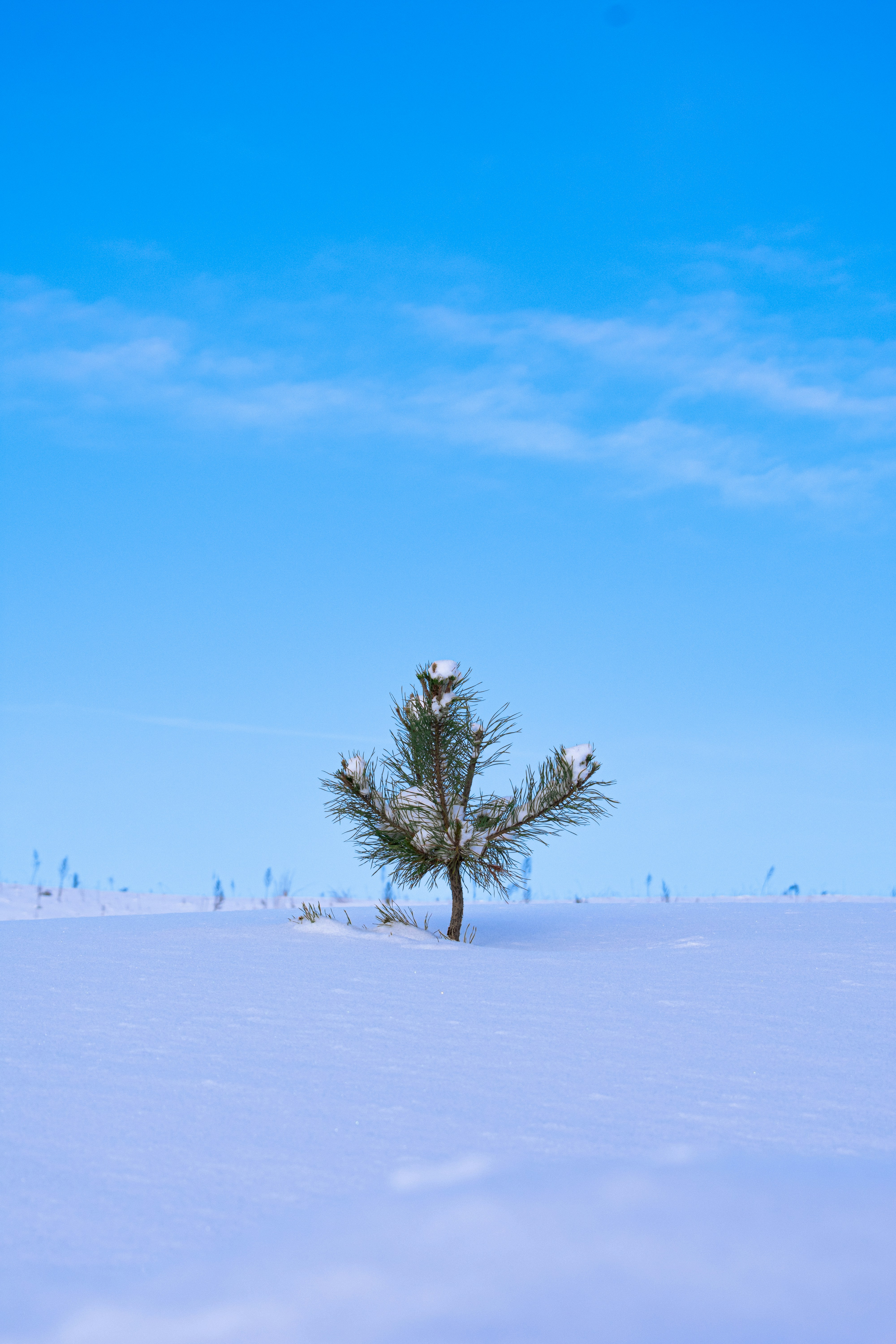 Photo by therealslkhv