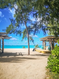 A serene beach scene with clear blue skies and turquoise ocean water in the background. The sandy beach is lined with lush green trees, and there are some rustic wooden structures, possibly beach huts or shelters. The sunlight casts gentle shadows on the sand, adding to the tranquil atmosphere.