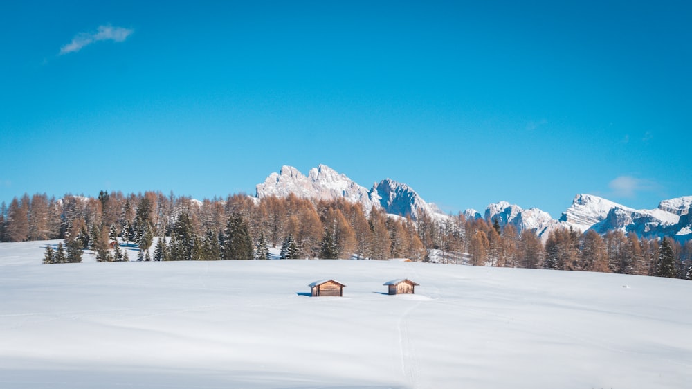 Un campo innevato con una montagna sullo sfondo