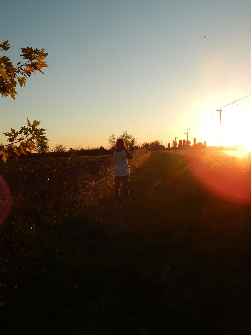 a person standing in a field at sunset