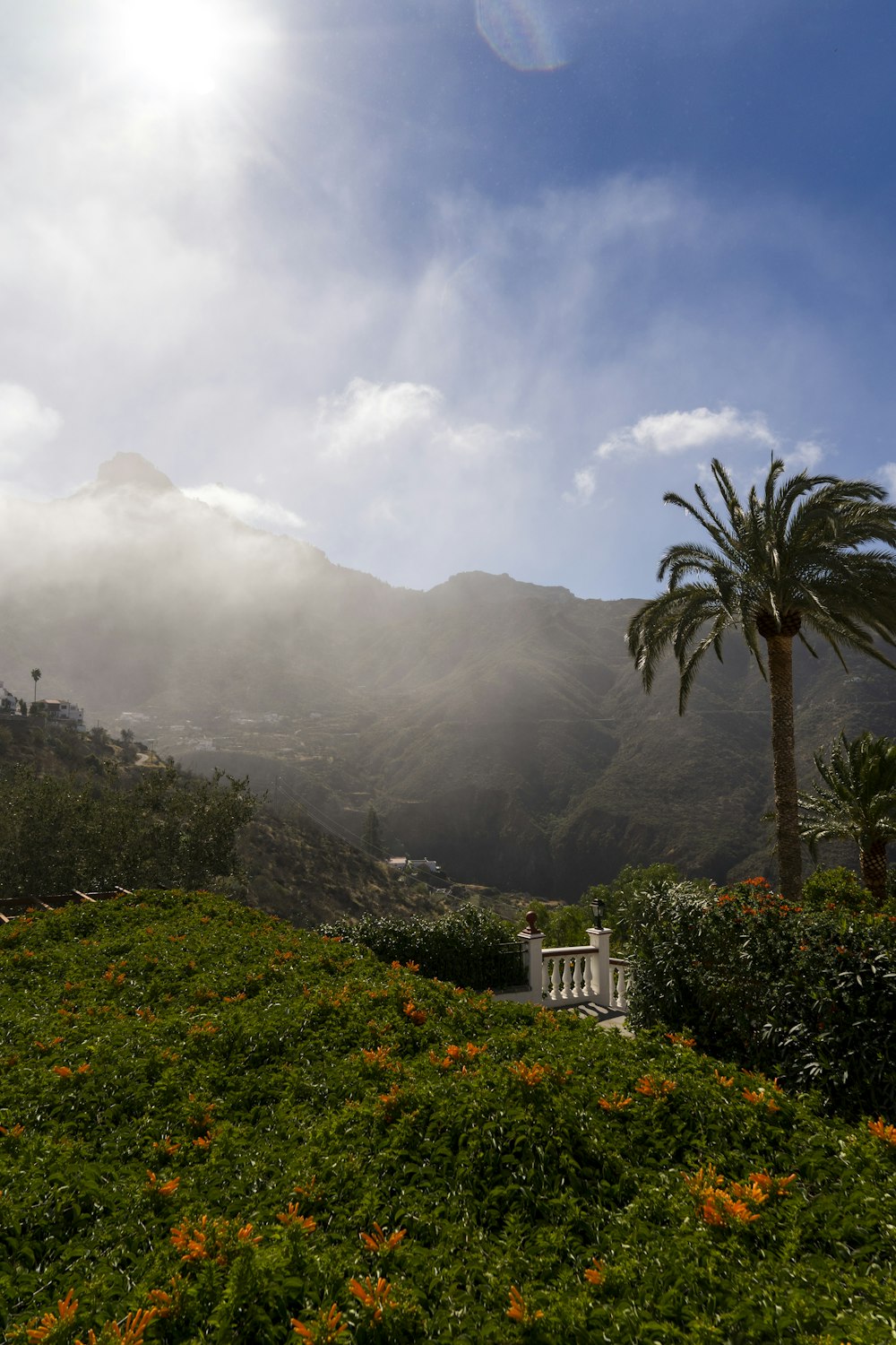 a lush green hillside covered in trees and flowers