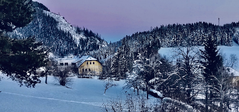 a snow covered mountain with a house in the distance