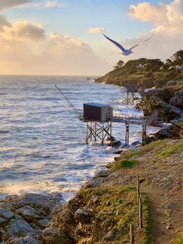 A scenic view of the Haroa coastline where Marine Sea Foods sources its catch.