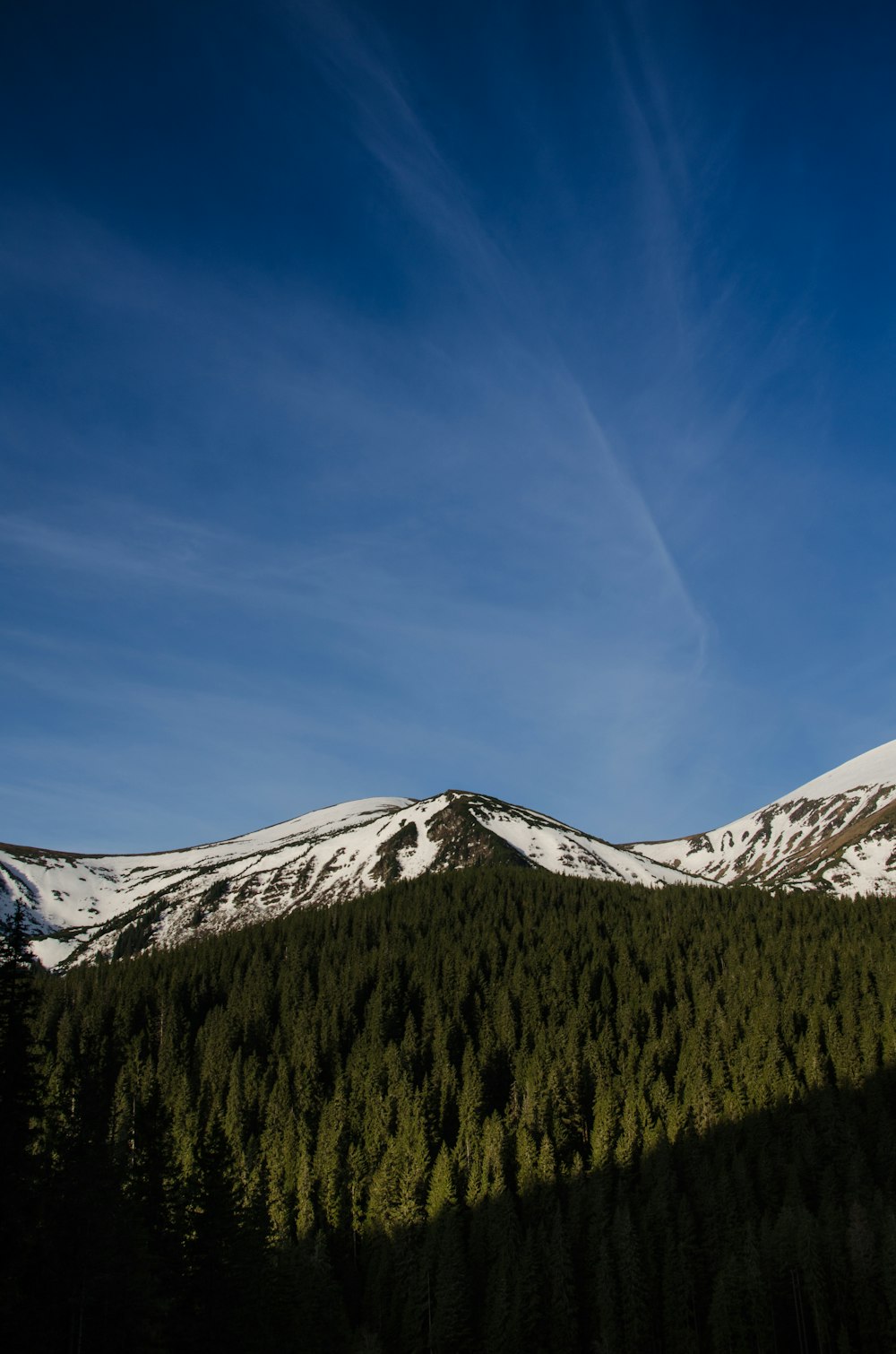 a snow covered mountain with pine trees in the foreground