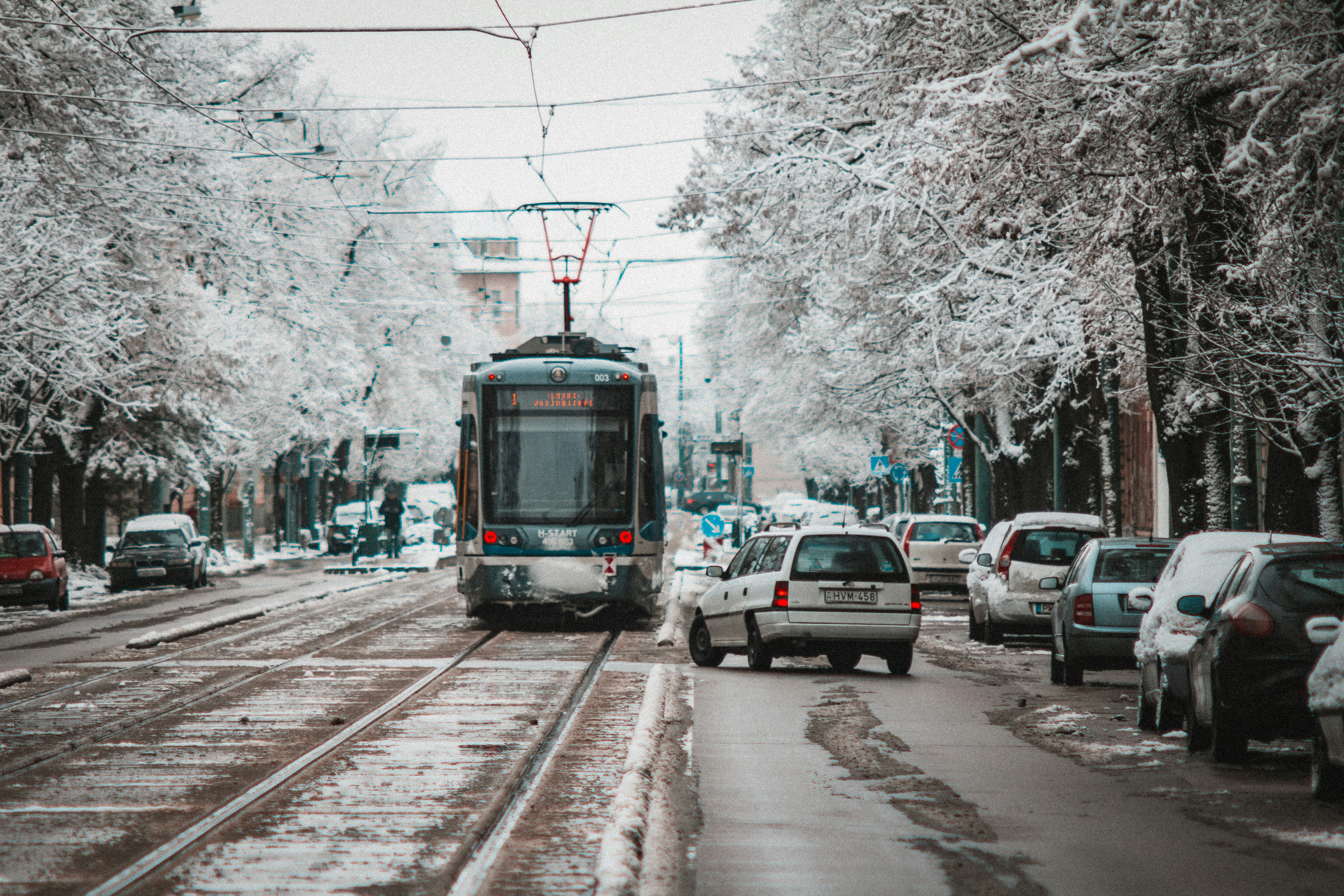 Photo by szabolcsantal