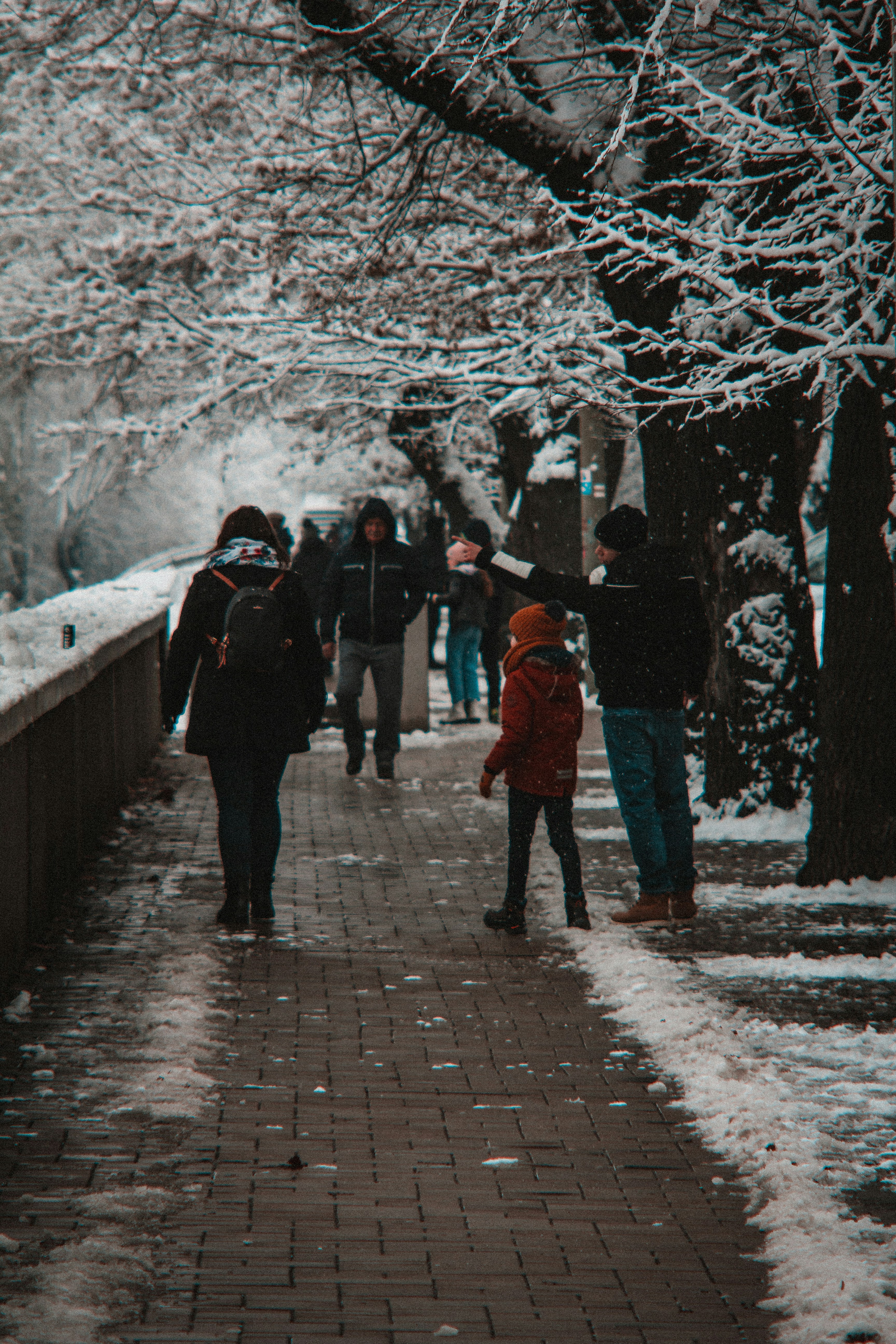 Photo by szabolcsantal