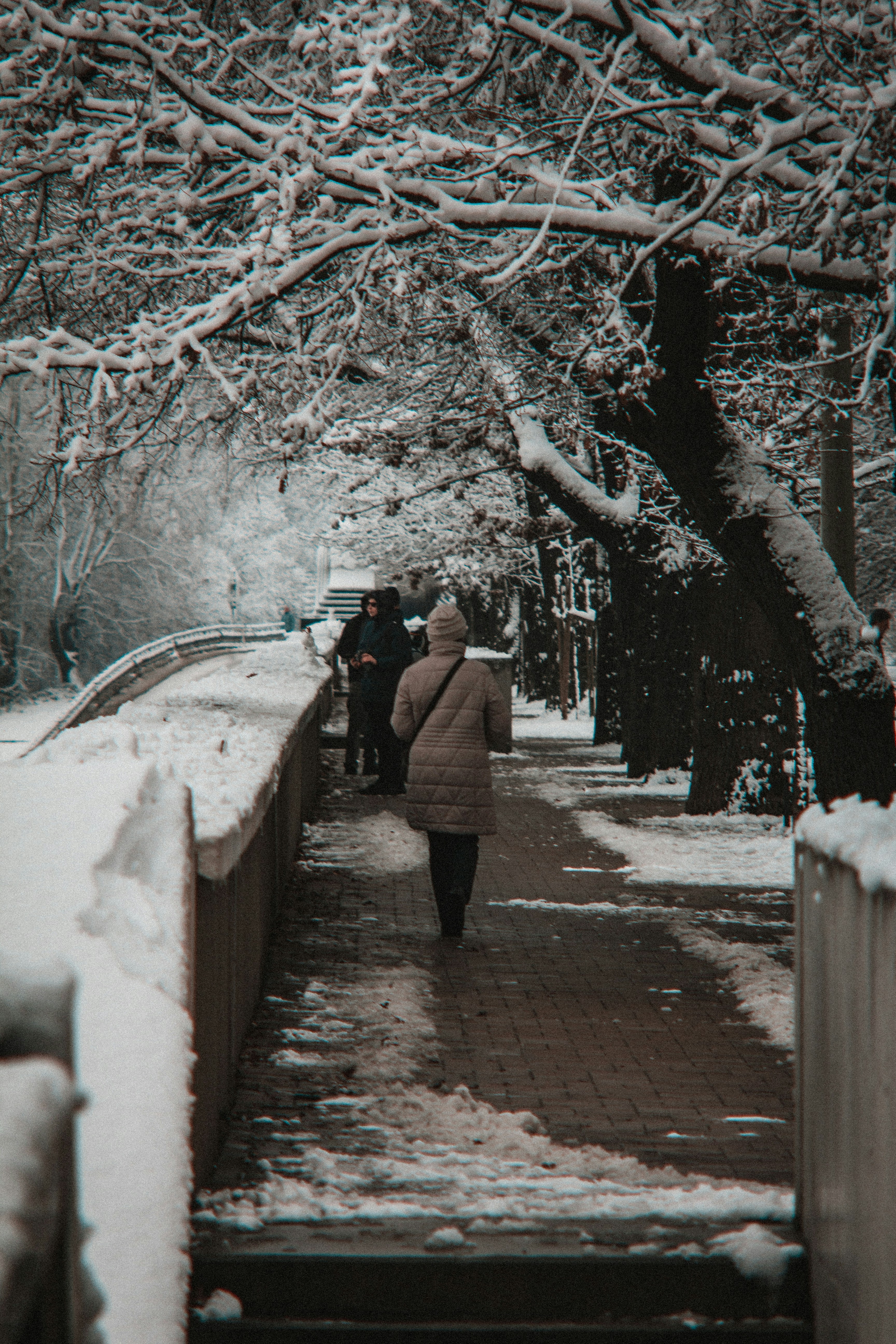 Photo by szabolcsantal