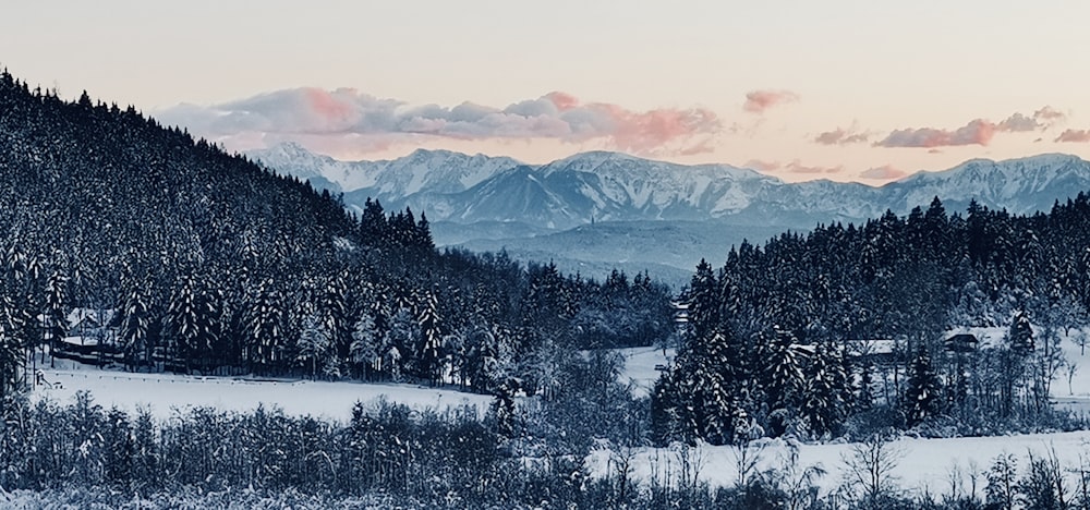 Eine verschneite Landschaft mit Bergen im Hintergrund