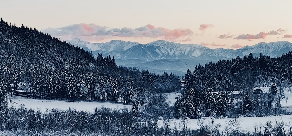 Un paesaggio innevato con le montagne sullo sfondo