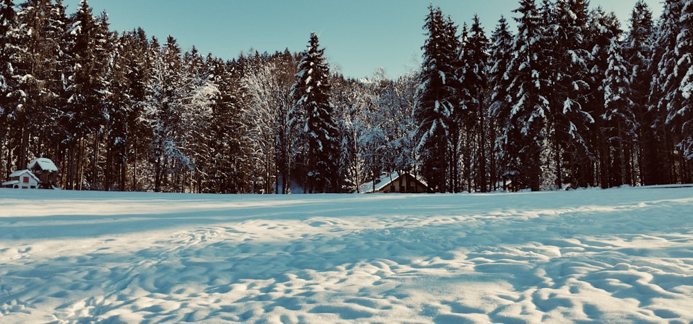 a person riding skis on a snowy surface