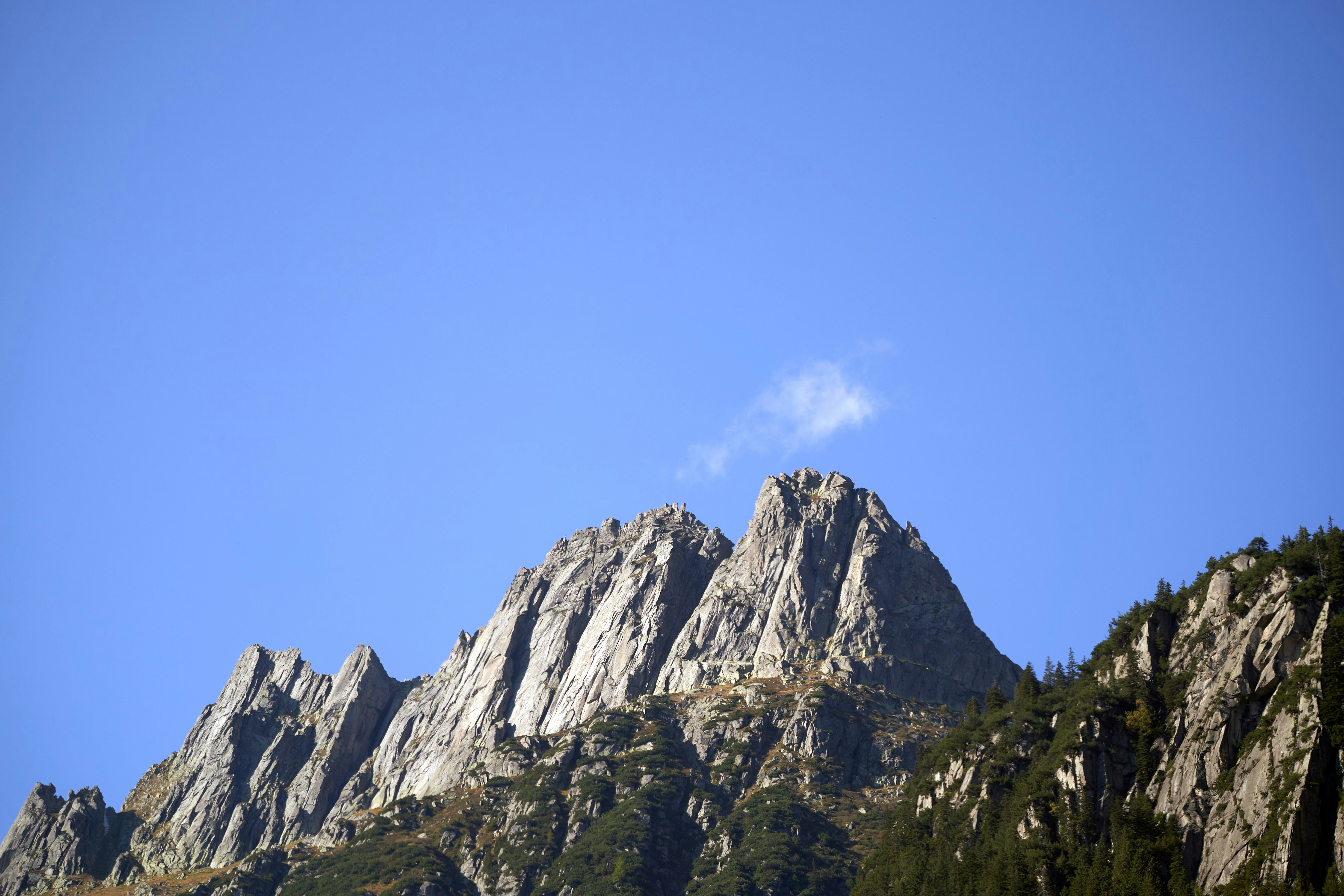 Photo by wolfgang_hasselmann