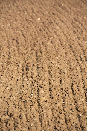 a baseball bat laying on top of a dirt field