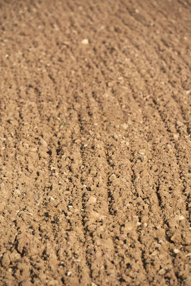 a baseball bat laying on top of a dirt field