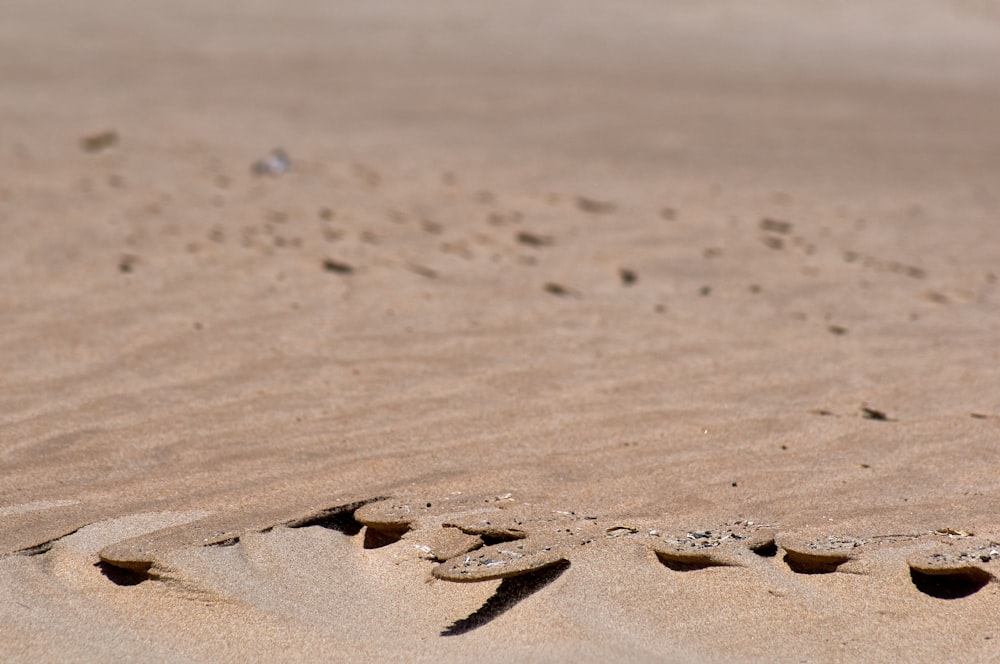 footprints in the sand of a beach