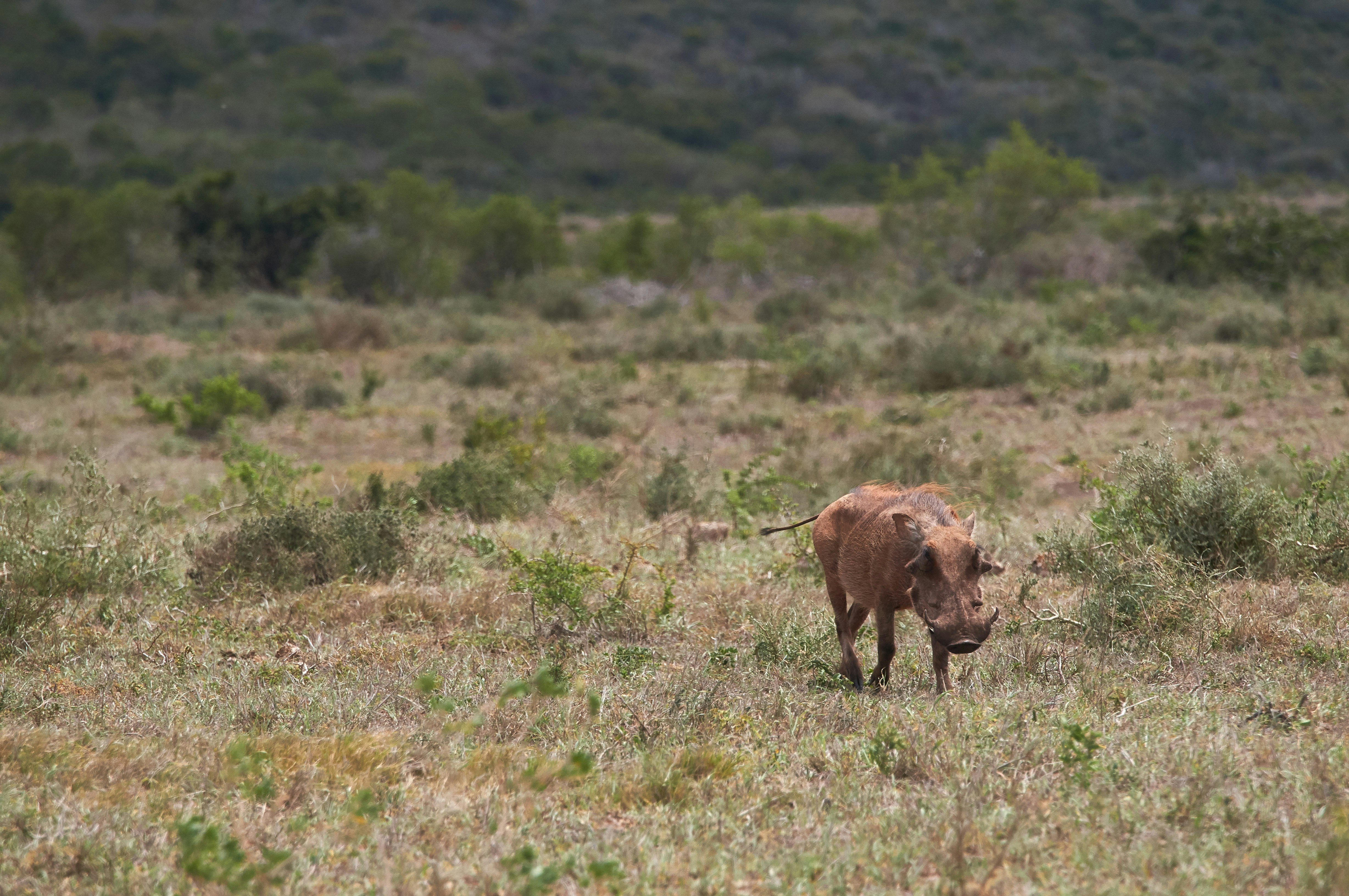 Photo by wolfgang_hasselmann