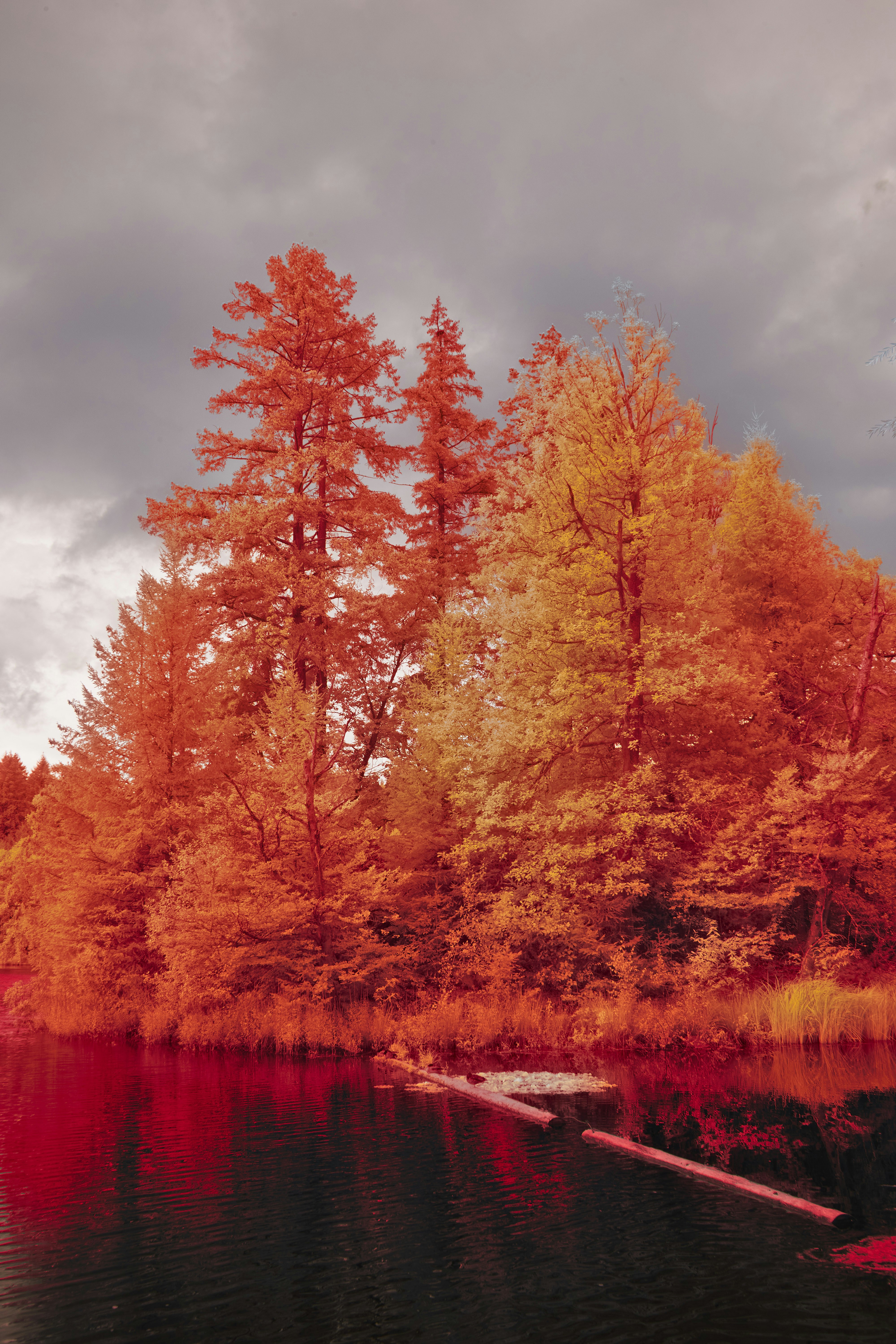 Photo by wolfgang_hasselmann