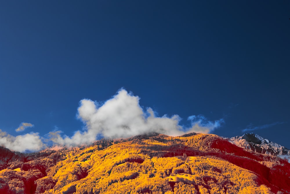 a mountain covered in yellow and red trees