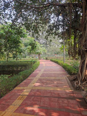 A winding garden path bordered by colorful shrubs and small trees.