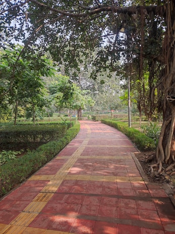 A beautifully tiled pathway leading through a vibrant garden.