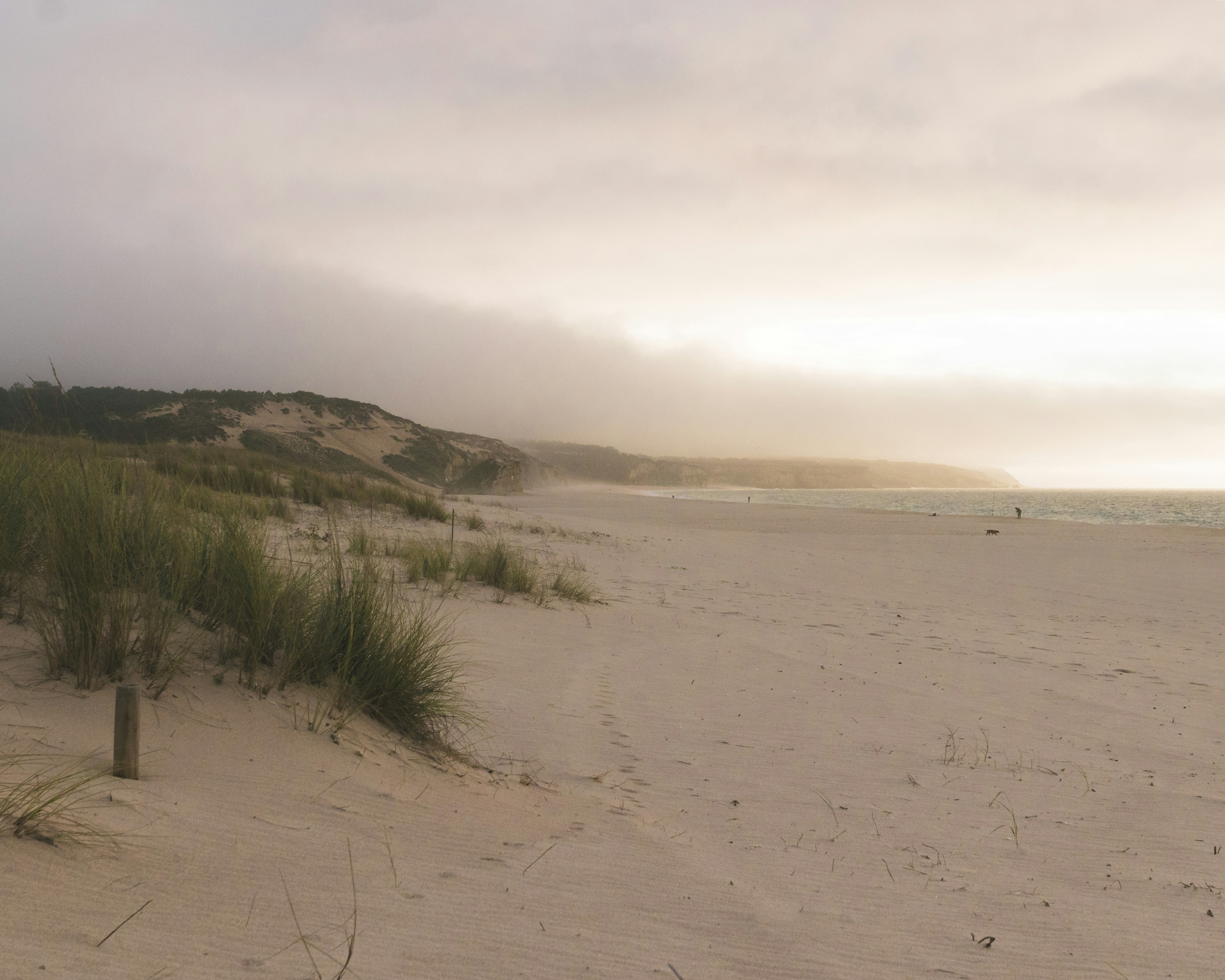 Choose from a curated selection of beach photos. Always free on Unsplash.