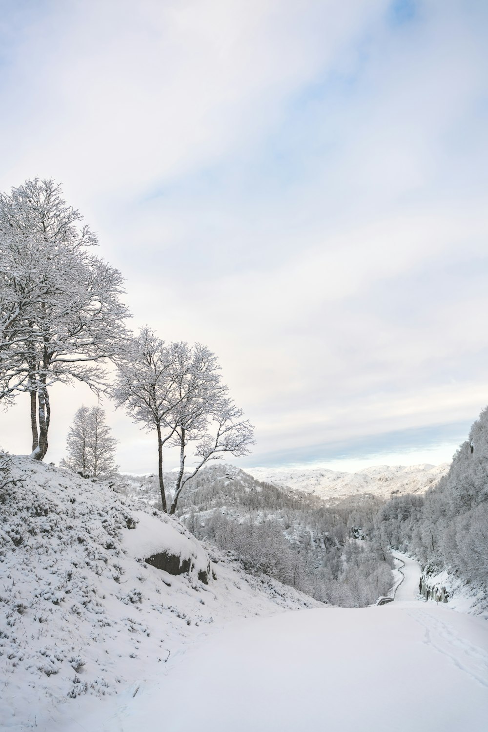 uma colina coberta de neve com árvores em cima dela