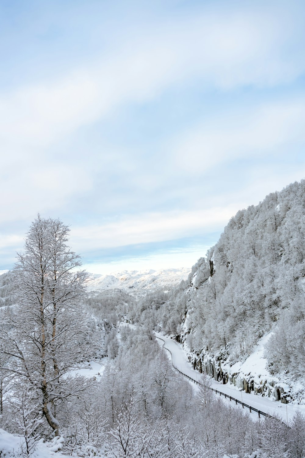 a snowy landscape with a train on the tracks