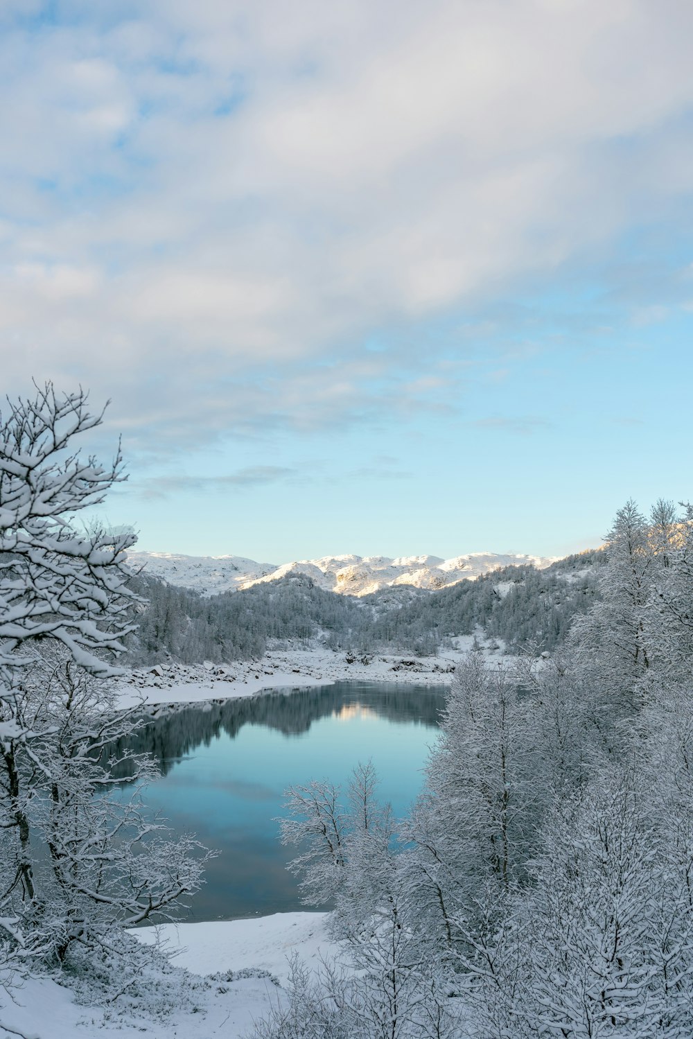 a lake surrounded by trees covered in snow