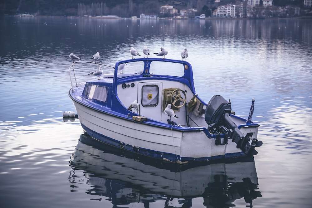 a blue and white boat floating on top of a lake