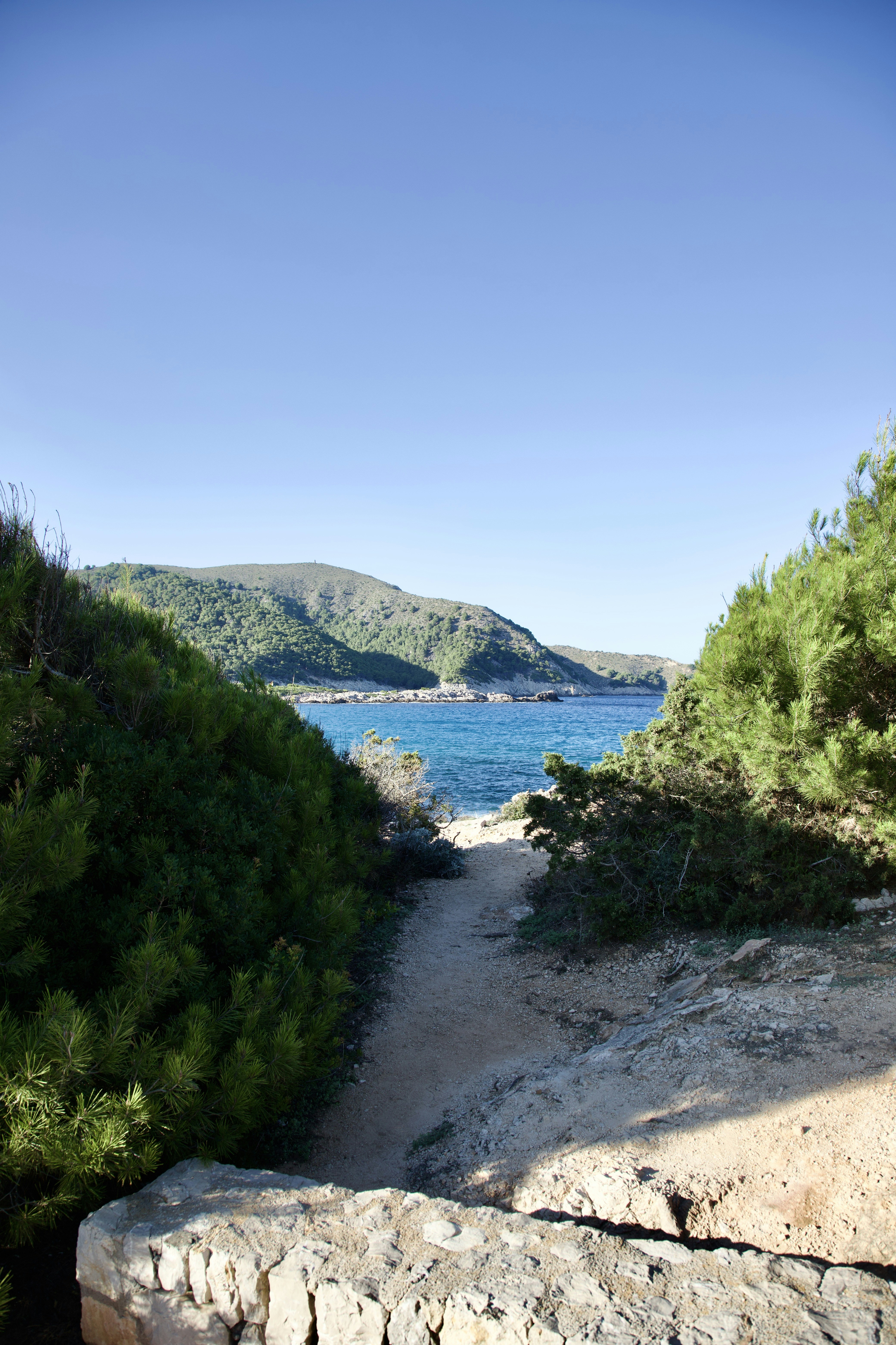 Nature produces the most astoundingly beautiful images: the swirling lava of a volcano, palm trees against a blue sky, snow-capped mountains towering above. Unsplash has magnificent , high-quality photos of all the delights that nature has to offer.