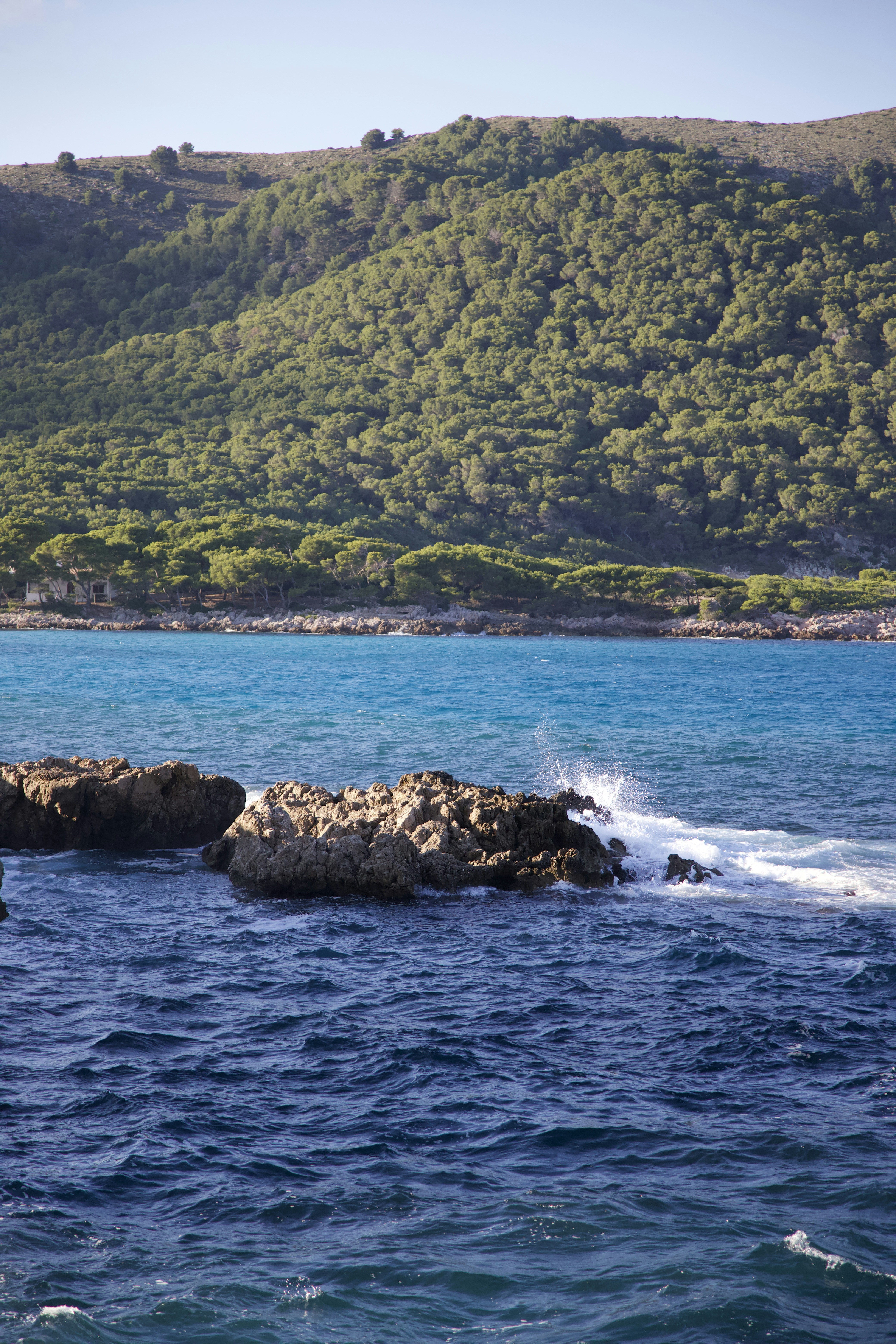 Photo by stockbirken