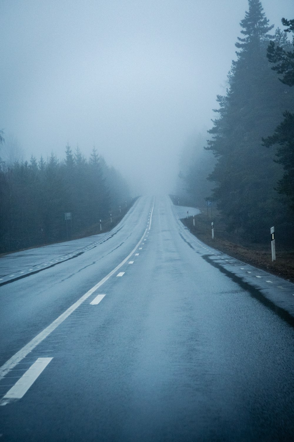 a foggy road in the middle of a forest