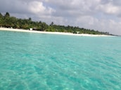 Beachfront snorkeling scene with clear water