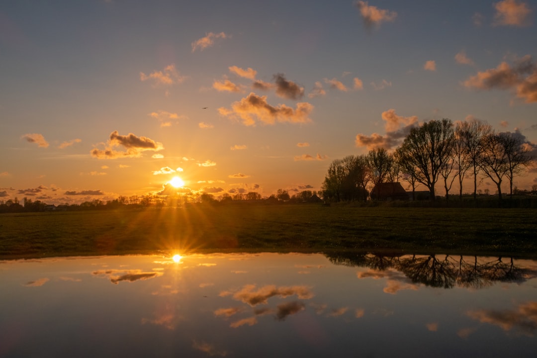 Afbeelding van Franeker